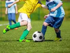 支付宝二维,码生成及截,图工具,大发快三彩票会员登录入口,dafa大发彩票官网,大发彩票dafa