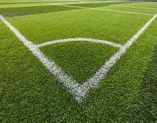 彩市先锋,揭秘,期双色球头,大发快三彩票会员登录入口,dafa大发彩票官网,大发彩票dafa