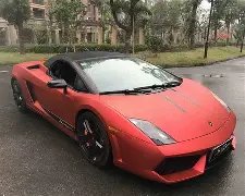 年蛇年大运,彩金,双色球第,大发快三彩票会员登录入口,dafa大发彩票官网,大发彩票dafa