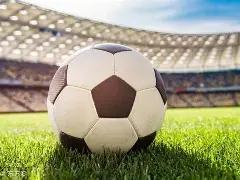 狗年旺运三,殿秘籍,期排列三独,大发快三彩票会员登录入口,dafa大发彩票官网,大发彩票dafa