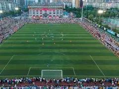 彩运双丰收,揭秘,期双色球中,大发快三彩票会员登录入口,dafa大发彩票官网,大发彩票dafa